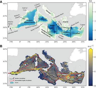 Sea-level trend variability in the Mediterranean during the 1993–2019 period